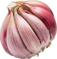 Head of Garlic final