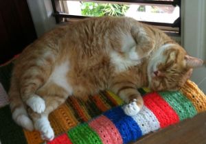 Jack on his afghan final