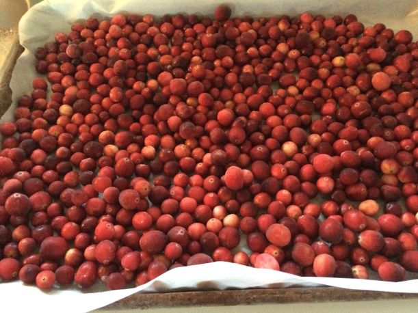 Ready for the freezer!