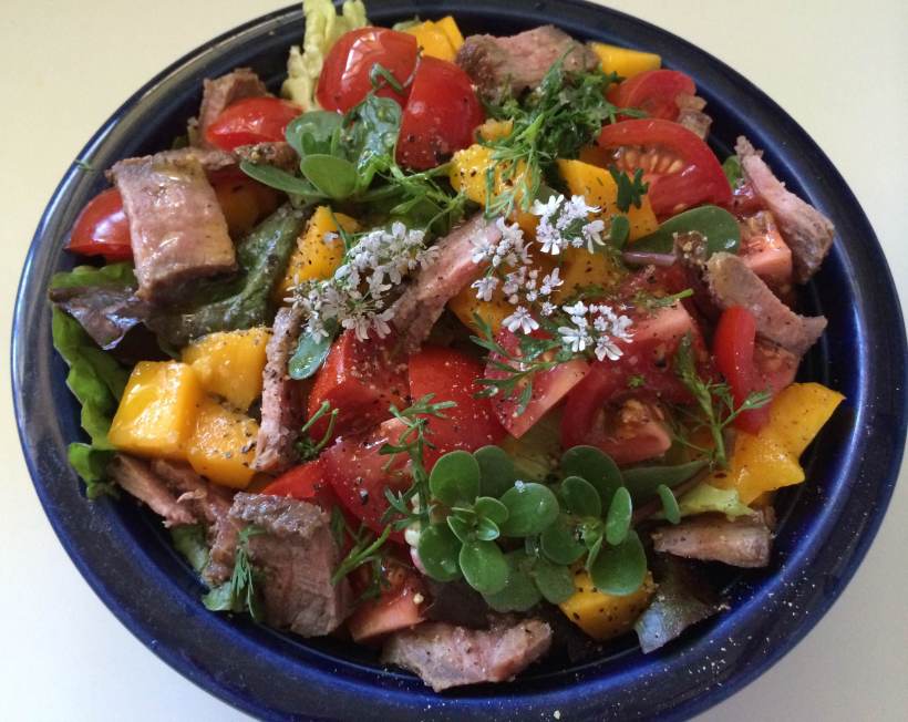 Salad with steak, purslane & cilantro blossoms