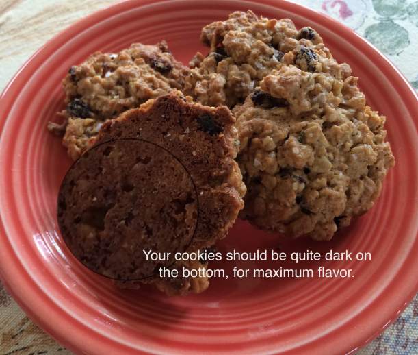Cookies on plate including bottom